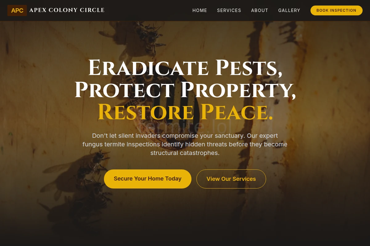 Fungus Termite Inspection